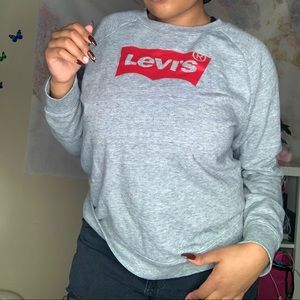 Gray Basic Levi’s Top - Comfy Sweater / Sweatshirt